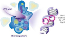 Representación de desinfección molecular